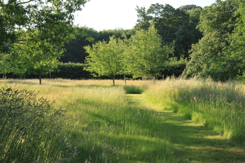 Serge Hill Gardens